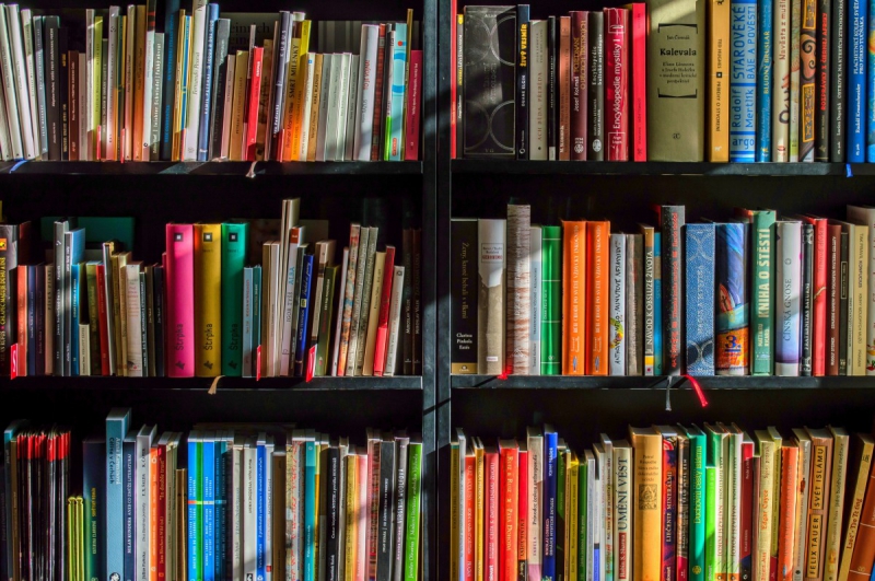 boutique-VALDEBLORE-min_books_bookstore_book_reading_shop_writer_sale_books_read-822866